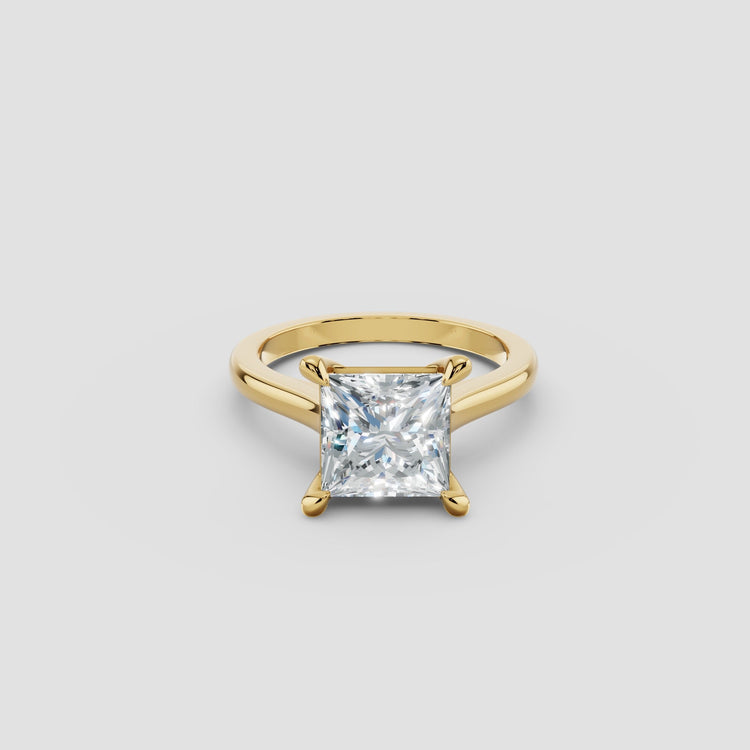 Princess Cut Engagement Rings